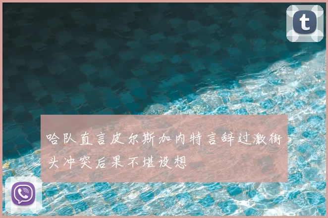 哈队直言皮尔斯加内特言辞过激街头冲突后果不堪设想