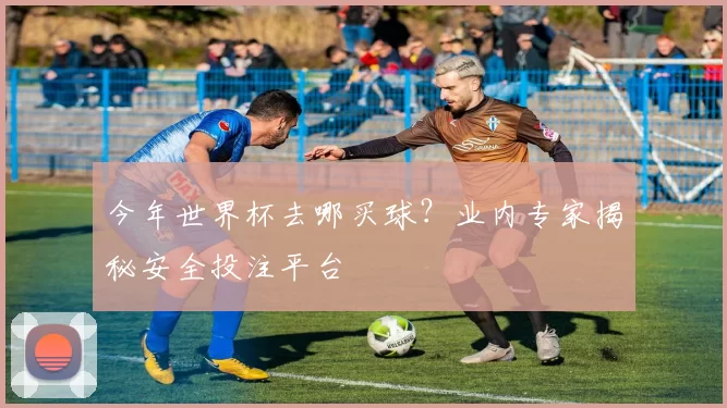 今年世界杯去哪买球？业内专家揭秘安全投注平台
