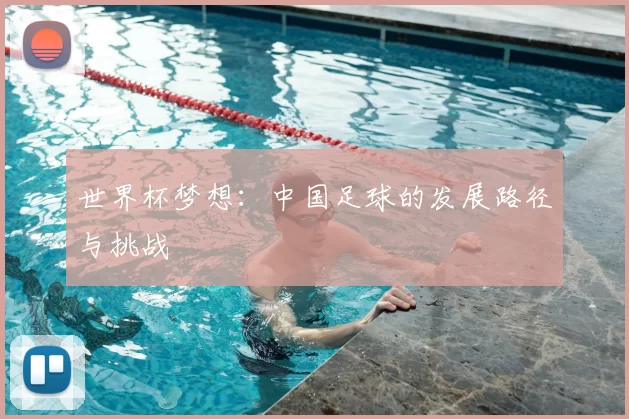世界杯梦想：中国足球的发展路径与挑战