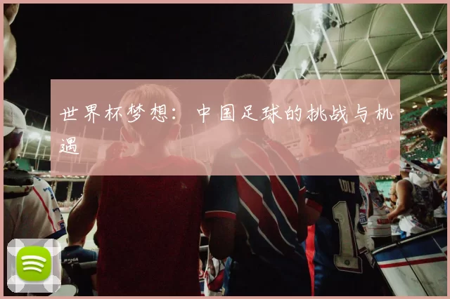 世界杯梦想:中国足球的挑战与机遇