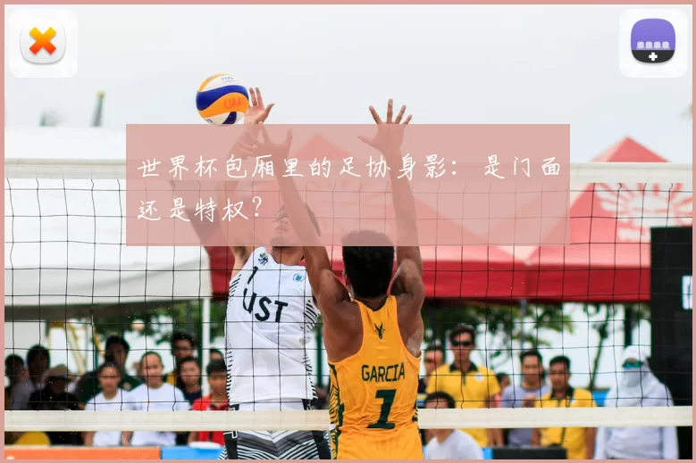 世界杯包厢里的足协身影：是门面还是特权？