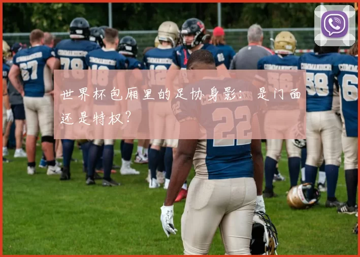 世界杯包厢里的足协身影:是门面还是特权?