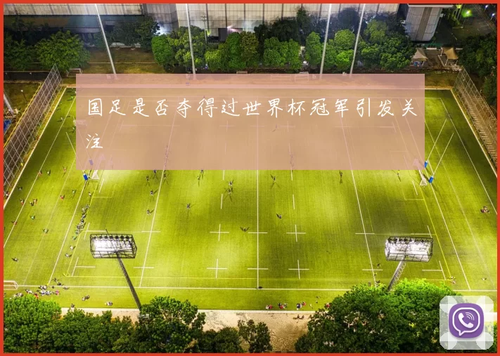 国足是否夺得过世界杯冠军引发关注
