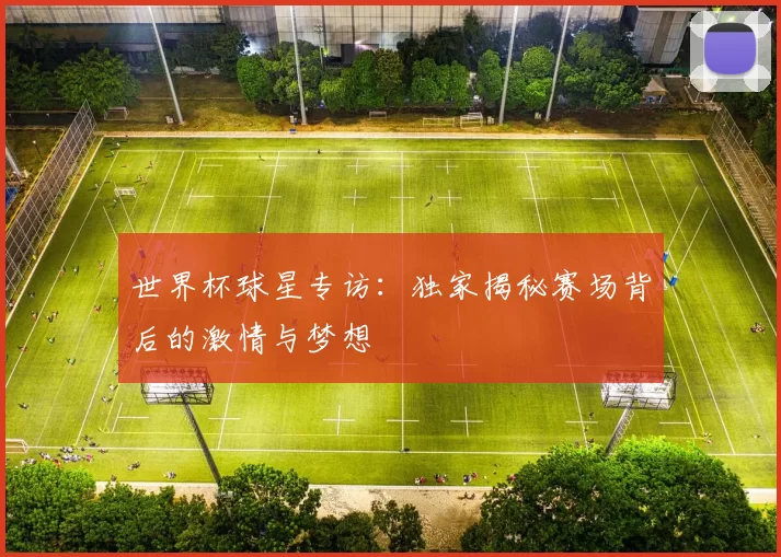 世界杯球星专访：独家揭秘赛场背后的激情与梦想