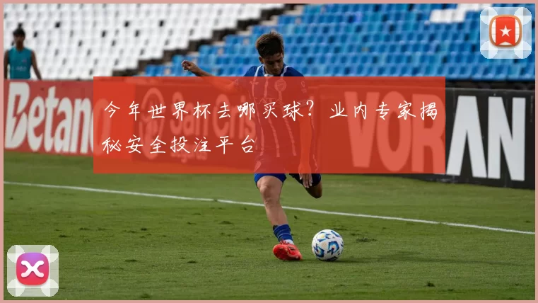 今年世界杯去哪买球?业内专家揭秘安全投注平台