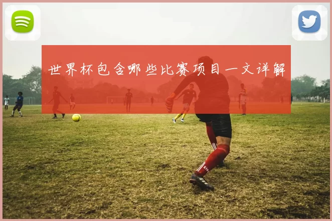 世界杯包含哪些比赛项目一文详解