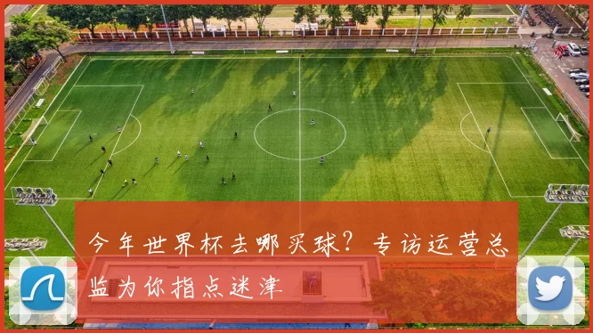 今年世界杯去哪买球?专访运营总监为你指点迷津