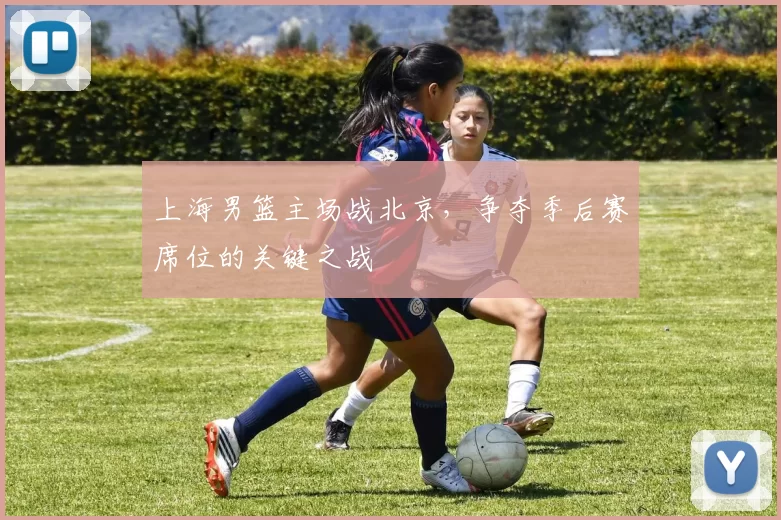 上海男篮主场战北京，争夺季后赛席位的关键之战
