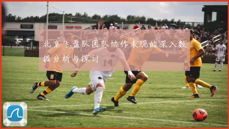 北京飞盘队团队协作表现的深入数据分析与探讨