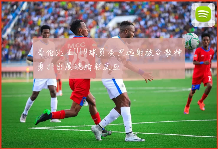 哥伦比亚U19球员凌空远射被合散神勇扑出展现精彩反应