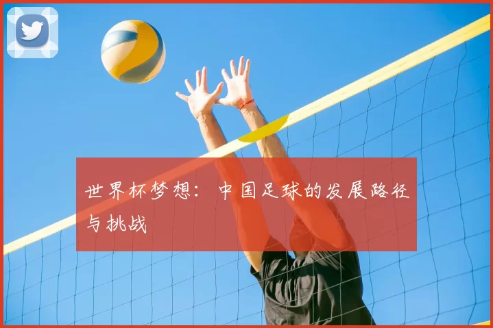 世界杯梦想：中国足球的发展路径与挑战