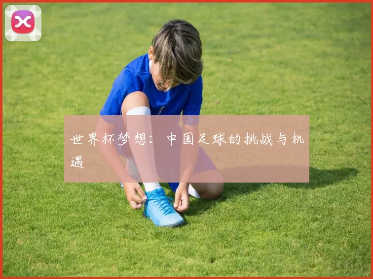 世界杯梦想：中国足球的挑战与机遇
